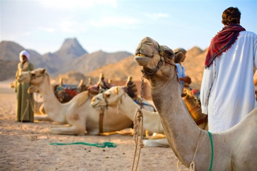 Бедуины - за сотни лет, «коренной» уклад их жизни не слишком изменился