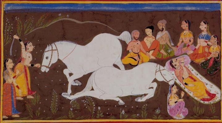 Индийский обряд ашванедхе - жертвоприношение коня